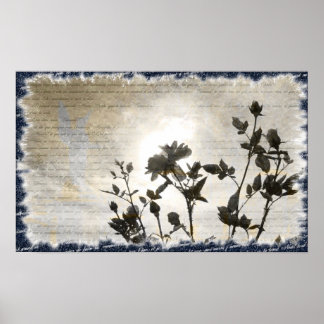 Póster Le Comte de Monte-Cristo