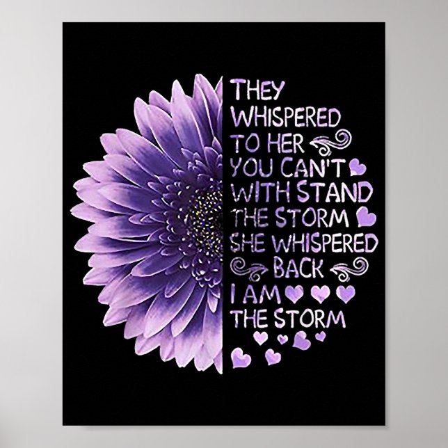 Póster Le dijeron que no se podía con la Sto (Frente)