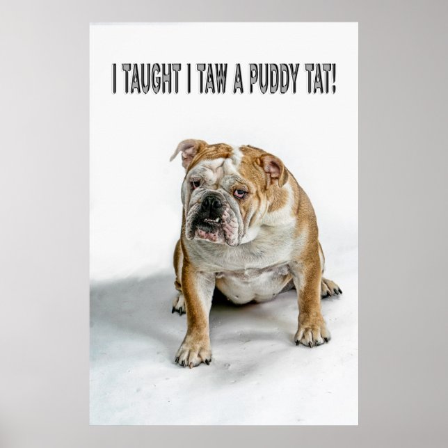 Póster Le enseñé a tomar un puddy ese poster (Frente)