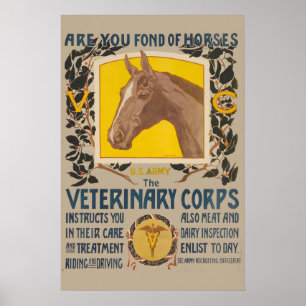 Póster ¿Le gustan los caballos Medicina Veterinaria del E
