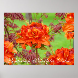 Póster Leadership Principles Values art prints Office Art