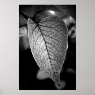Póster Leaf