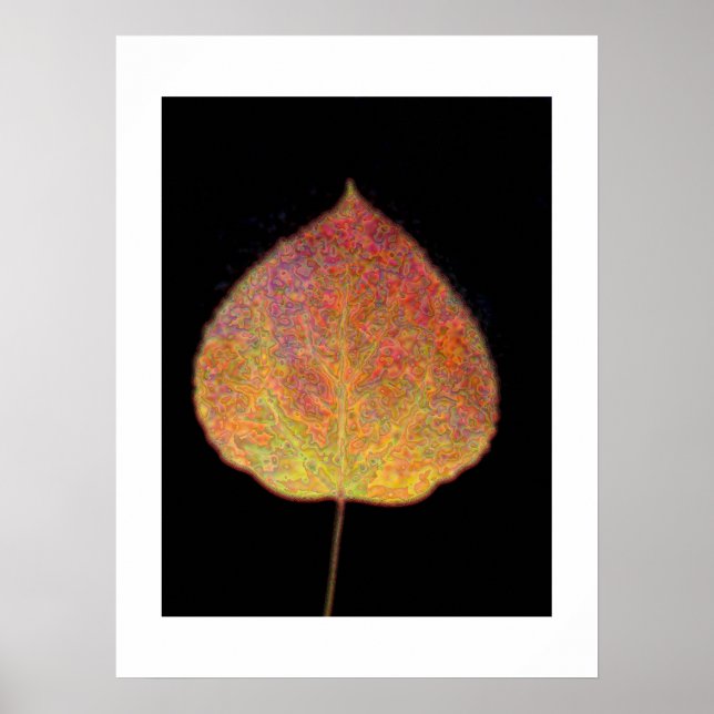 Póster Leaf (Frente)