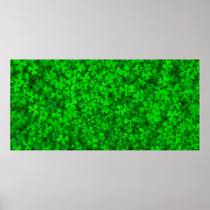 Póster Leaf clover green shamrock spring