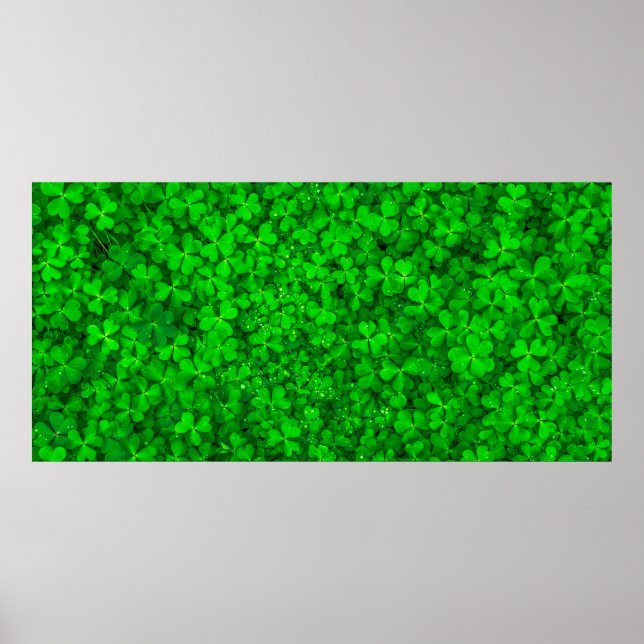 Póster Leaf clover green shamrock spring (Frente)