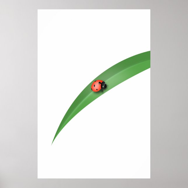 Póster Leaf de Ladybug (Frente)
