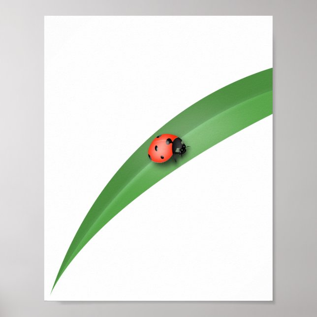 Póster Leaf de Ladybug (Frente)