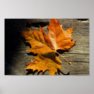 Póster Leaf de otoño