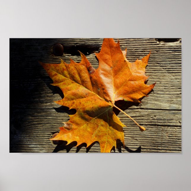 Póster Leaf de otoño (Frente)