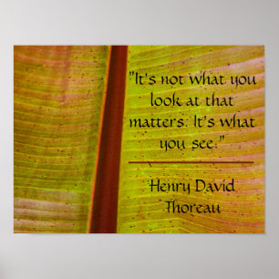 Póster Leaf inspirador