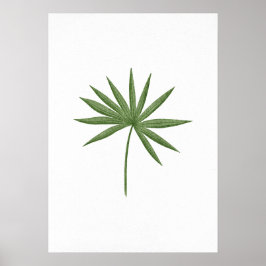 Póster Leaf verde 2