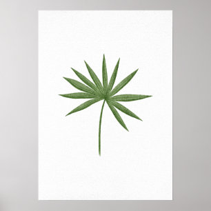 Póster Leaf verde 2