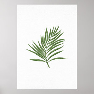 Póster Leaf verde 3