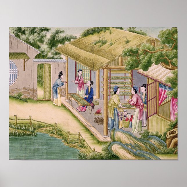 Póster Learning about Silkworms (Frente)