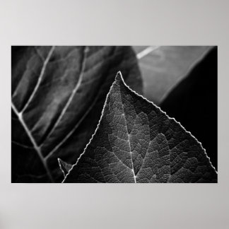 Póster leaves being
