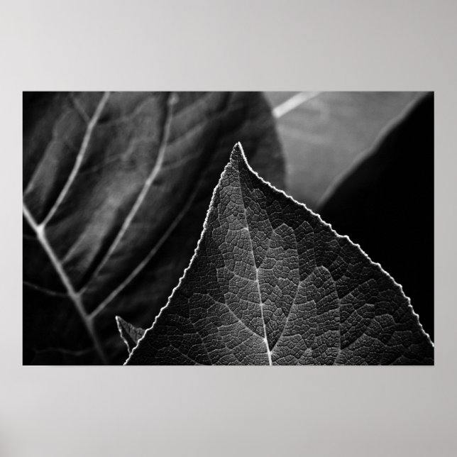 Póster leaves being (Frente)