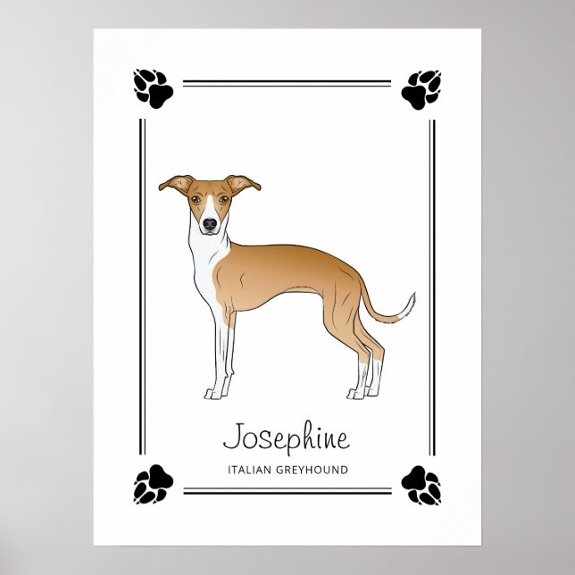Póster Lebrel Italiano Beige Y Blanco Con Huellas & Texto (Frente)