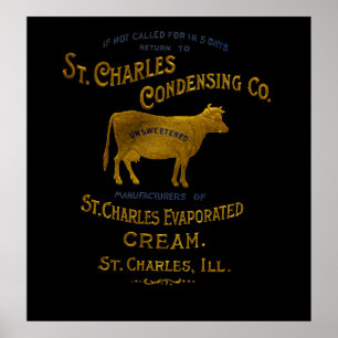 Póster LECHE LÁCTEA LECHE LÁCTEA DE St Charles Illinois 1