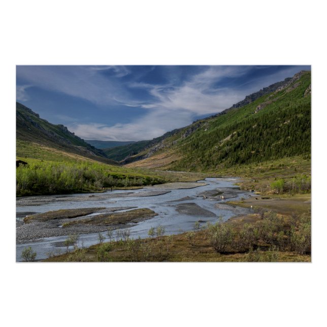 Póster Lecho del río Nenana Alaska (Anverso)