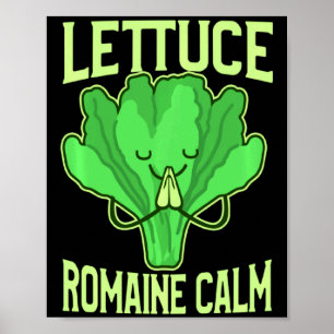 Póster Lechuga Divertida Roma Calma Meditación Yoga Zen 
