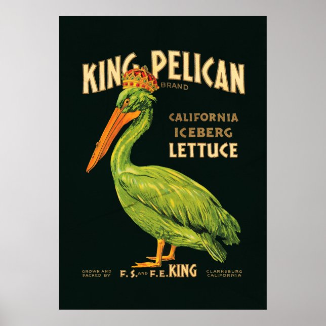 Póster Lechuga iceberg King Pelican (Frente)