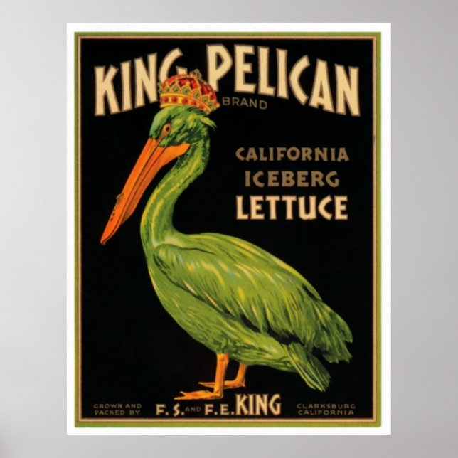 Póster Lechuga Pelican (Frente)