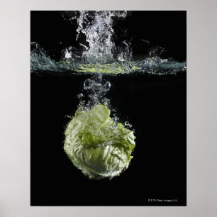 Póster Lechuga que salpica en agua