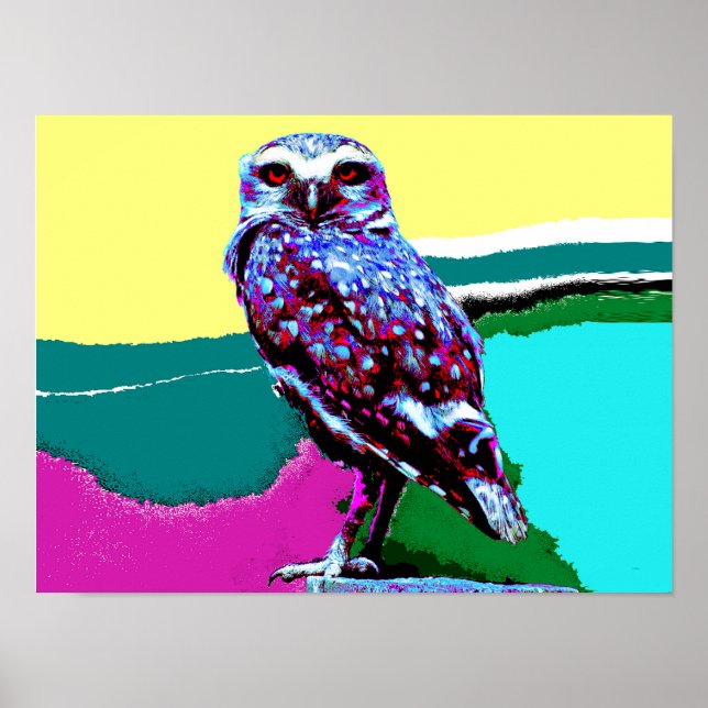Póster Lechuza colorida en una posterización (Frente)