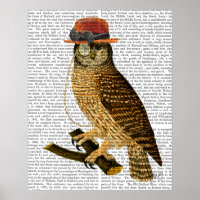 Lechuza con Gorra del Bowler al estilo Steampunk