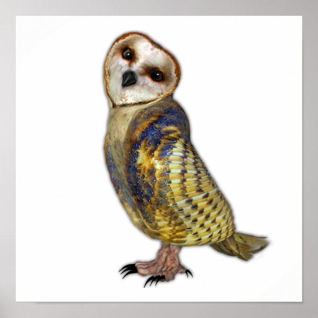 Póster Lechuza de granero (Frente)