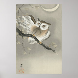 Póster Lechuza de larga trayectoria en Ginkgo, de Ohara K