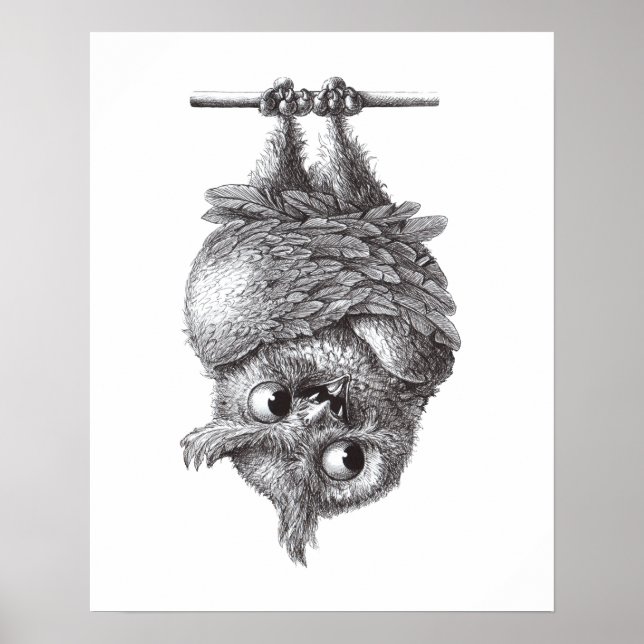 Póster Lechuza de vampiro - Muy asustado (Frente)