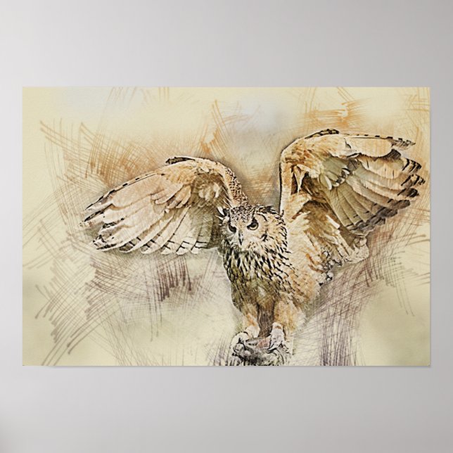 Póster Lechuza De Vuelo (Frente)