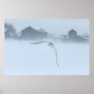 Póster Lechuza Nevada En Vuelo En Invierno