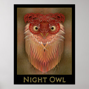Póster Lechuza nocturna