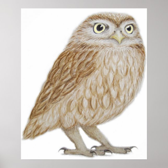 Póster Lechuza Pequeña 2011 (Frente)