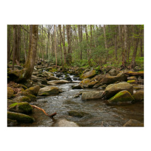 Póster LeConte Creek en Great Smoky Mountains