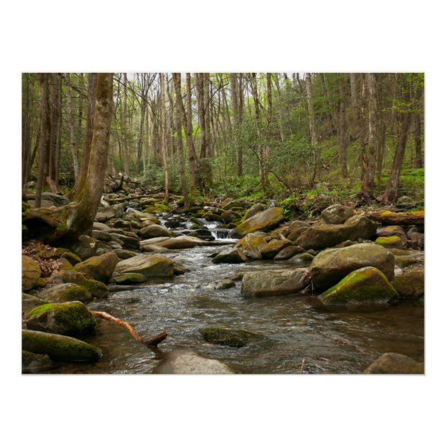 Póster LeConte Creek en Great Smoky Mountains (Anverso)