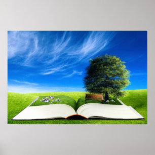 Póster Lectura imaginativa