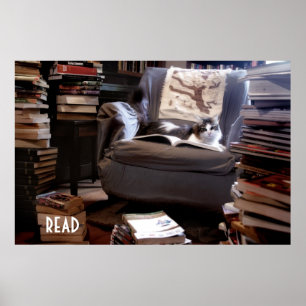 Póster Leer