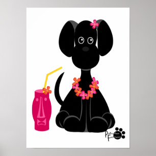 Póster LeiLani, el Laboratorio Negro