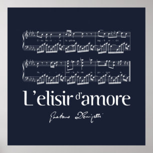 Póster L'elisir d'amore 2