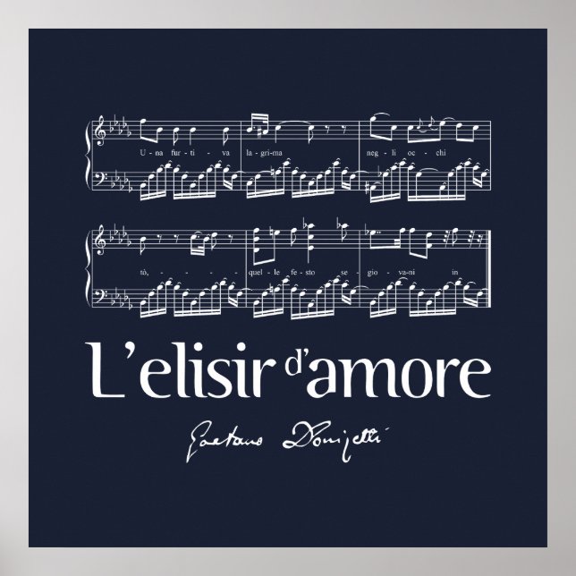 Póster L'elisir d'amore 2 (Frente)