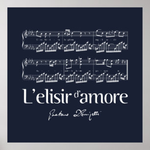 Póster L'elisir d'amore 2