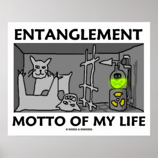 Póster Lema De Enrejado De Mi Vida (Física Quantum)