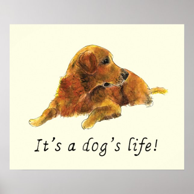 Póster Lema de perro pintado con acuarela de Golden Retri (Frente)