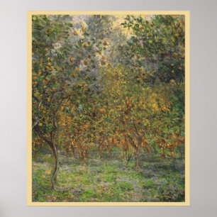 Póster Lemon Grove en Bordighera por Claude Monet