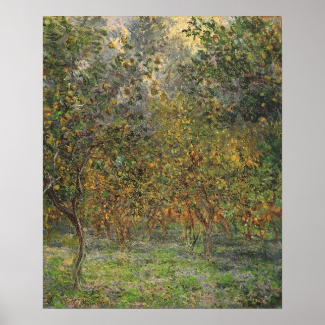 Póster Lemon Grove en Bordighera por Claude Monet (Frente)