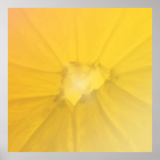 Póster Lemon Section