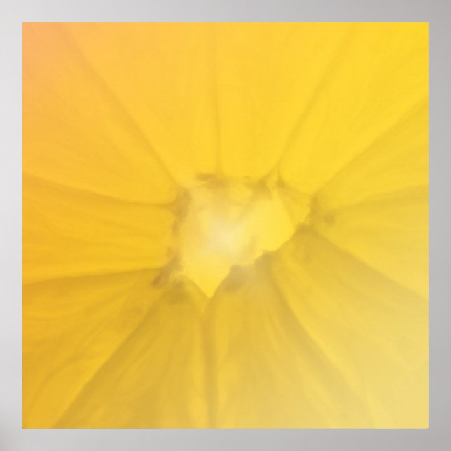 Póster Lemon Section (Frente)